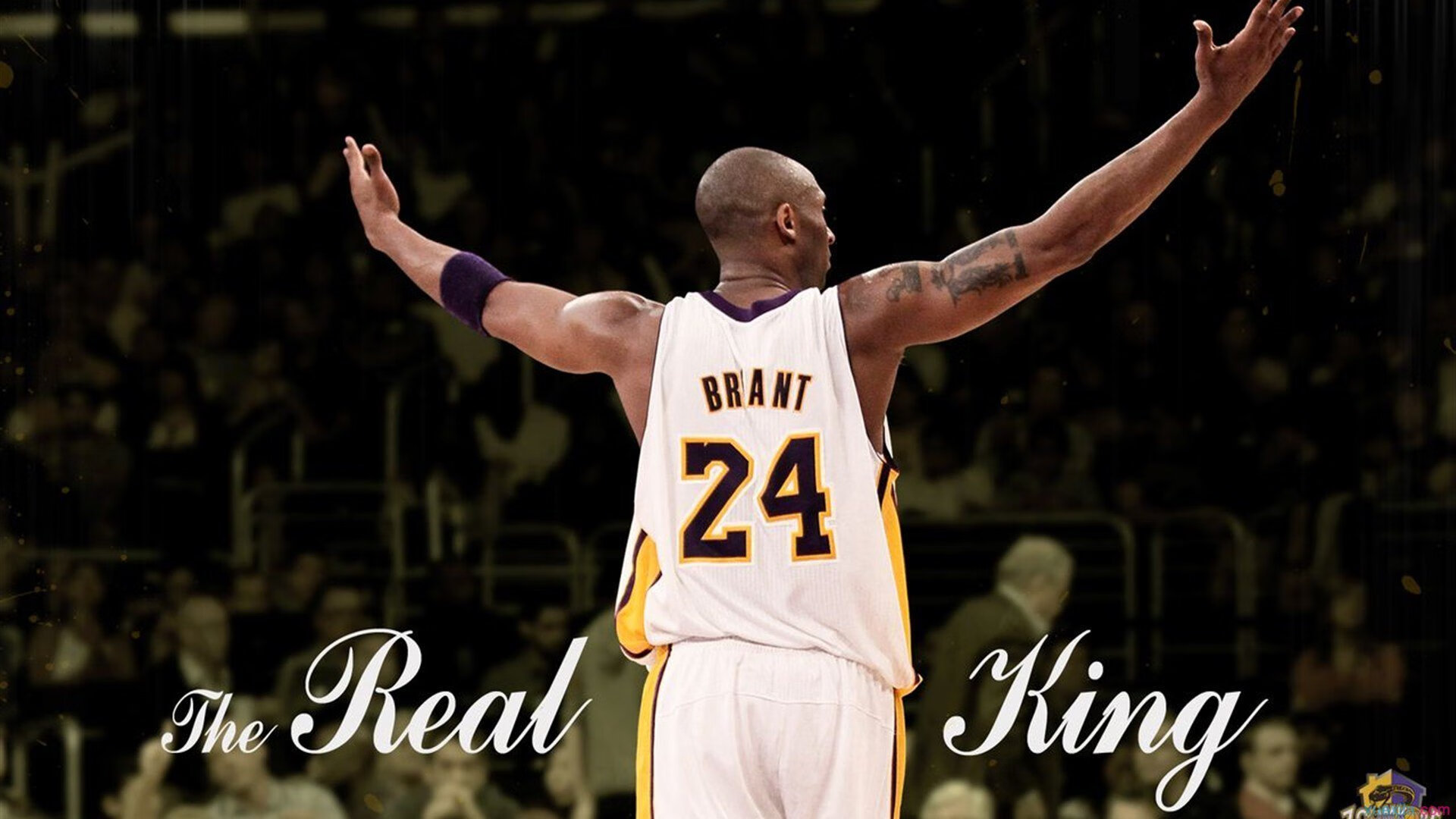 2026年世界杯预选赛激战正酣,多支豪门球队提前锁定晋级席位