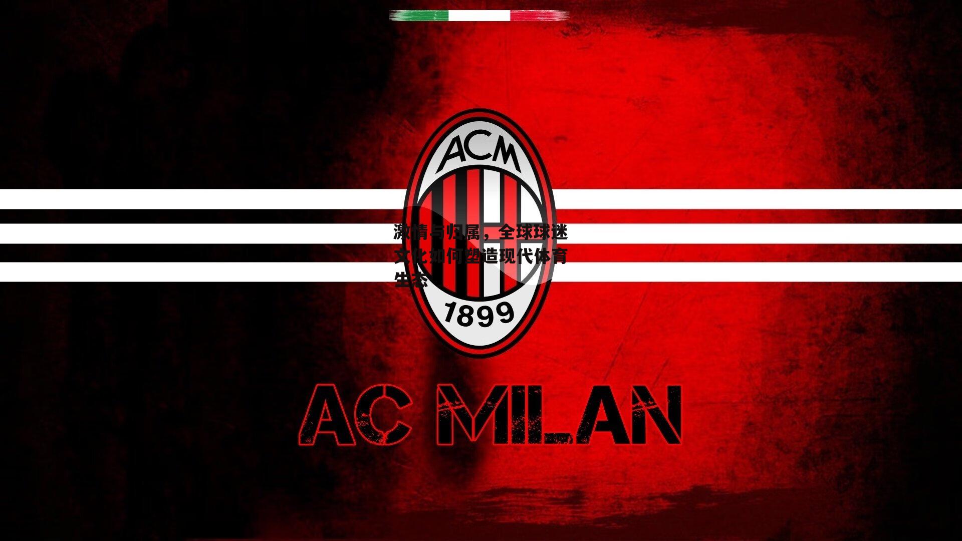 非凡体育官网：激情与归属，全球球迷文化如何塑造现代体育生态