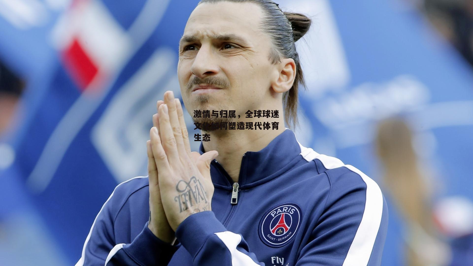 激情与归属,全球球迷文化如何塑造现代体育生态